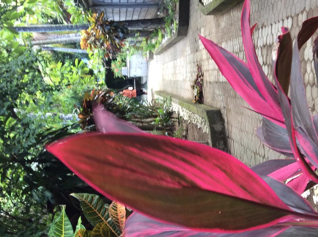 Bali Guest Villas Legian Buitenkant foto